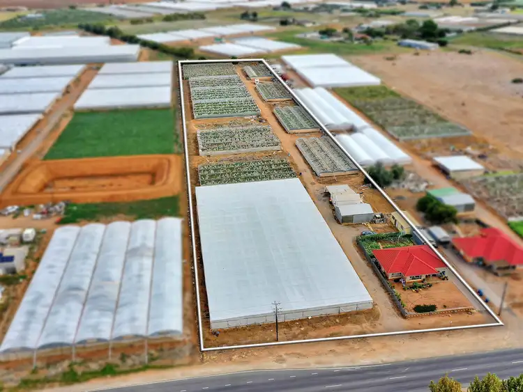 Second view of Homely house listing, 84 Gawler Road, Virginia SA 5120