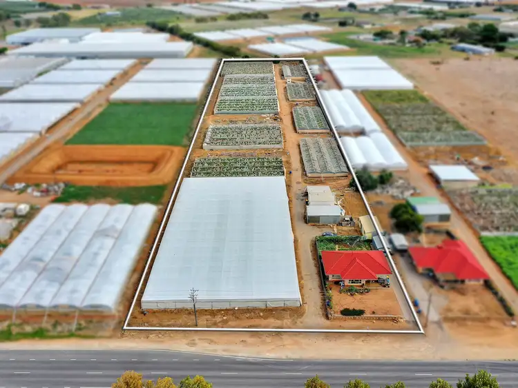 Third view of Homely house listing, 84 Gawler Road, Virginia SA 5120