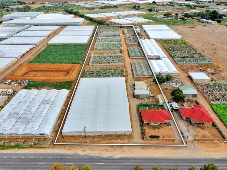 Fourth view of Homely house listing, 84 Gawler Road, Virginia SA 5120