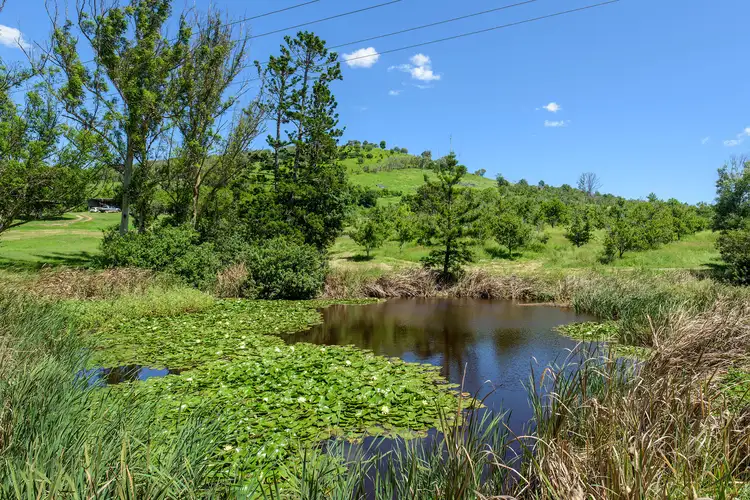 160 Birt Road, Long Flat QLD 4570