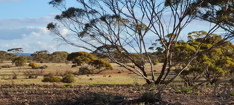 Fifth view of Homely rural property listing, Section 174 Bower Boundary Road, Bower SA 5374