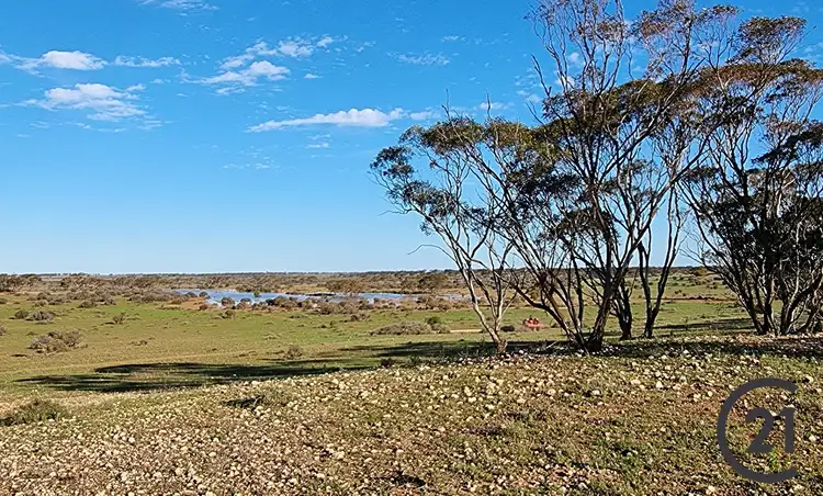 Sixth view of Homely rural property listing, Section 174 Bower Boundary Road, Bower SA 5374