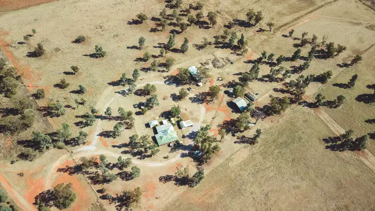 88 Myall Tree Lane, Nelungaloo NSW 2876