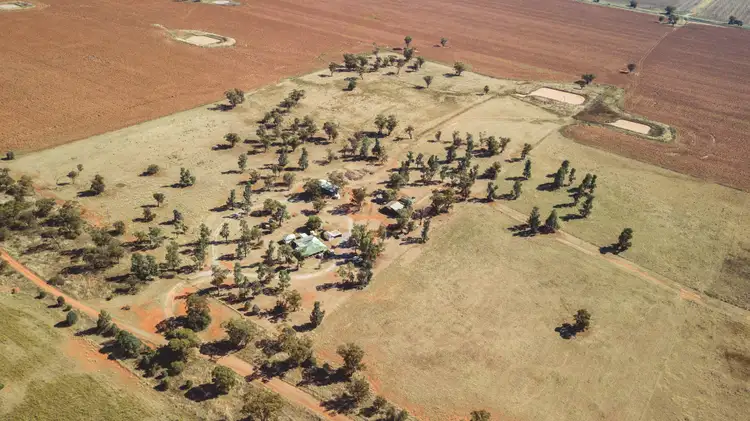Third view of Homely rural property listing, 88 Myall Tree Lane, Nelungaloo NSW 2876