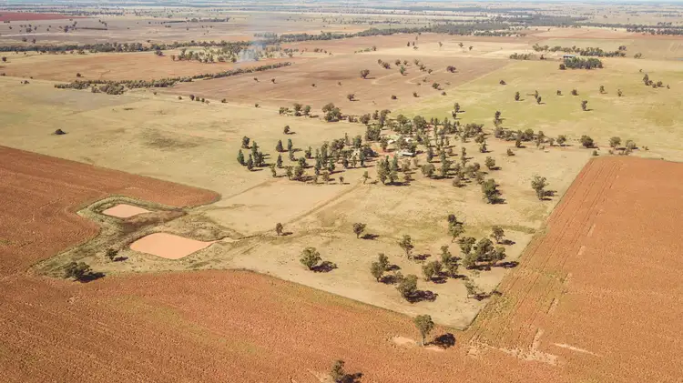 Fourth view of Homely rural property listing, 88 Myall Tree Lane, Nelungaloo NSW 2876