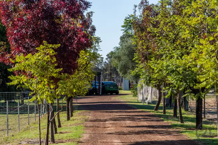 Fifth view of Homely house listing, 40 Daley Road, West Pinjarra WA 6208