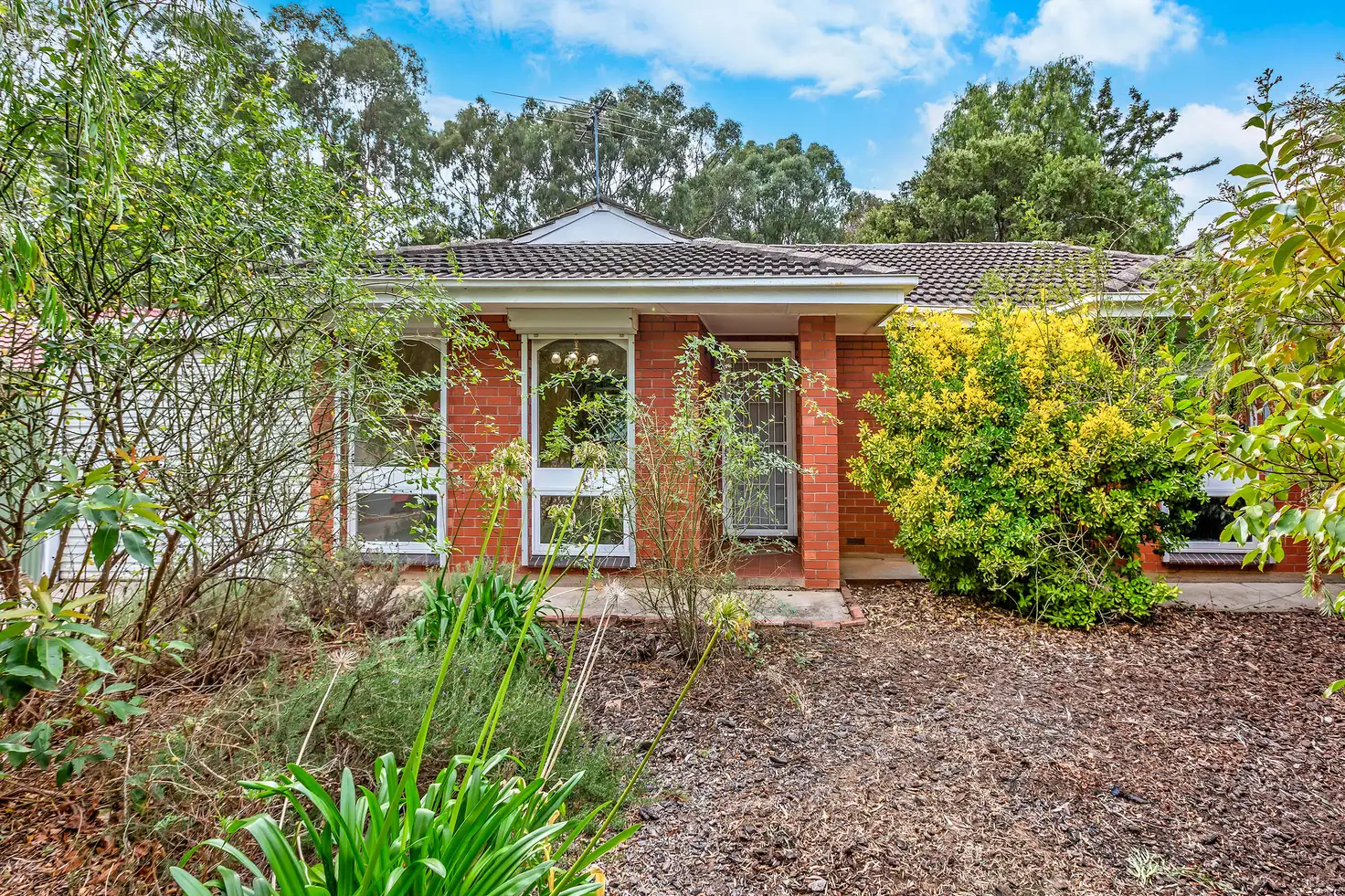 Main view of Homely house listing, 36 Collins Parade, Hackham SA 5163