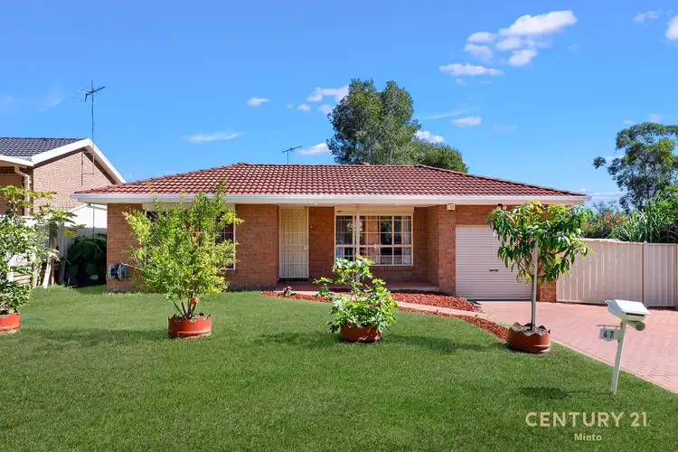 Main view of Homely house listing, 47 Mary Street, Macquarie Fields NSW 2564