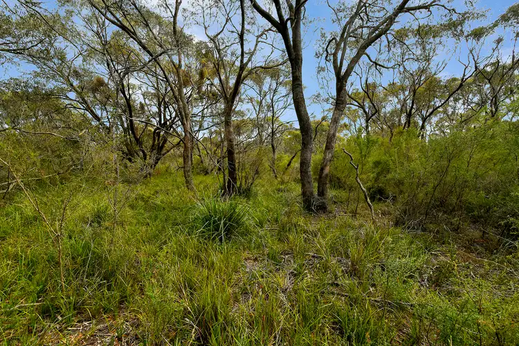Sixth view of Homely rural property listing, 10 -11 Bayview/Scotchmans Road, French Island VIC 3921