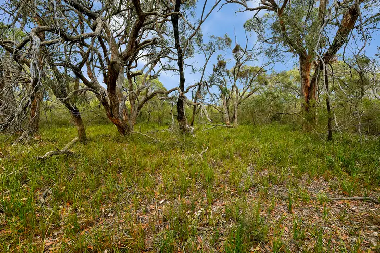 Seventh view of Homely rural property listing, 10 -11 Bayview/Scotchmans Road, French Island VIC 3921