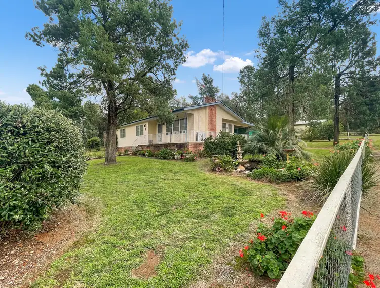 Main view of Homely house listing, 21 Bowler Street, Eugowra NSW 2806
