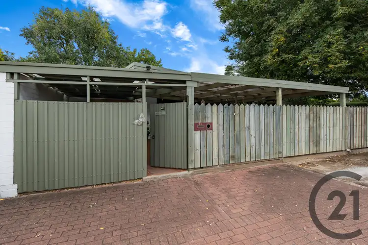 Fifth view of Homely house listing, 61 Greenock Road, Nuriootpa SA 5355