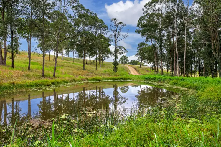 Third view of Homely rural property listing, 289 Randwick Road, East Deep Creek QLD 4570