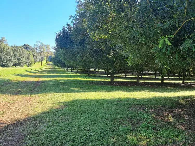 Main view of Homely rural property listing, 173 Fletcher Road, Dunoon NSW 2480