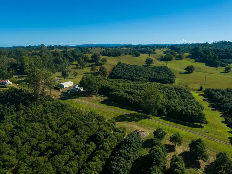 Fifth view of Homely rural property listing, 173 Fletcher Road, Dunoon NSW 2480