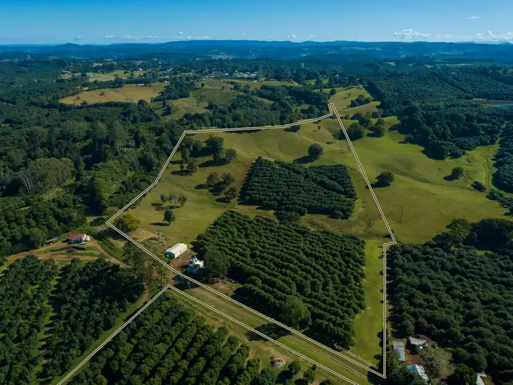Sixth view of Homely rural property listing, 173 Fletcher Road, Dunoon NSW 2480