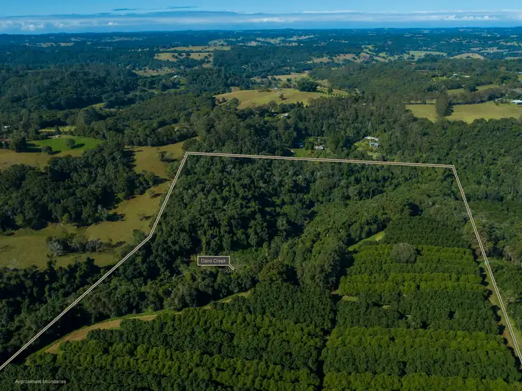 Seventh view of Homely rural property listing, 173 Fletcher Road, Dunoon NSW 2480