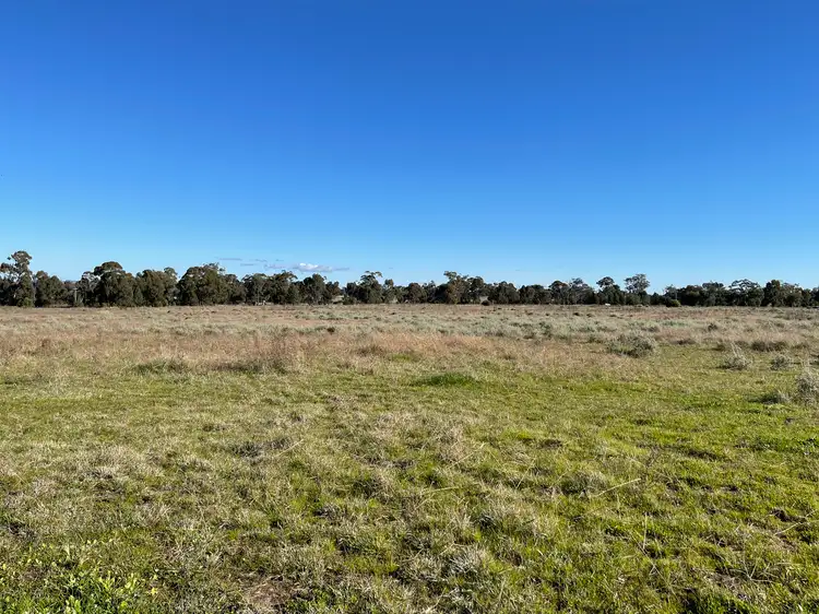 Seventh view of Homely rural property listing, 8186B The Escort Way, Eugowra NSW 2806