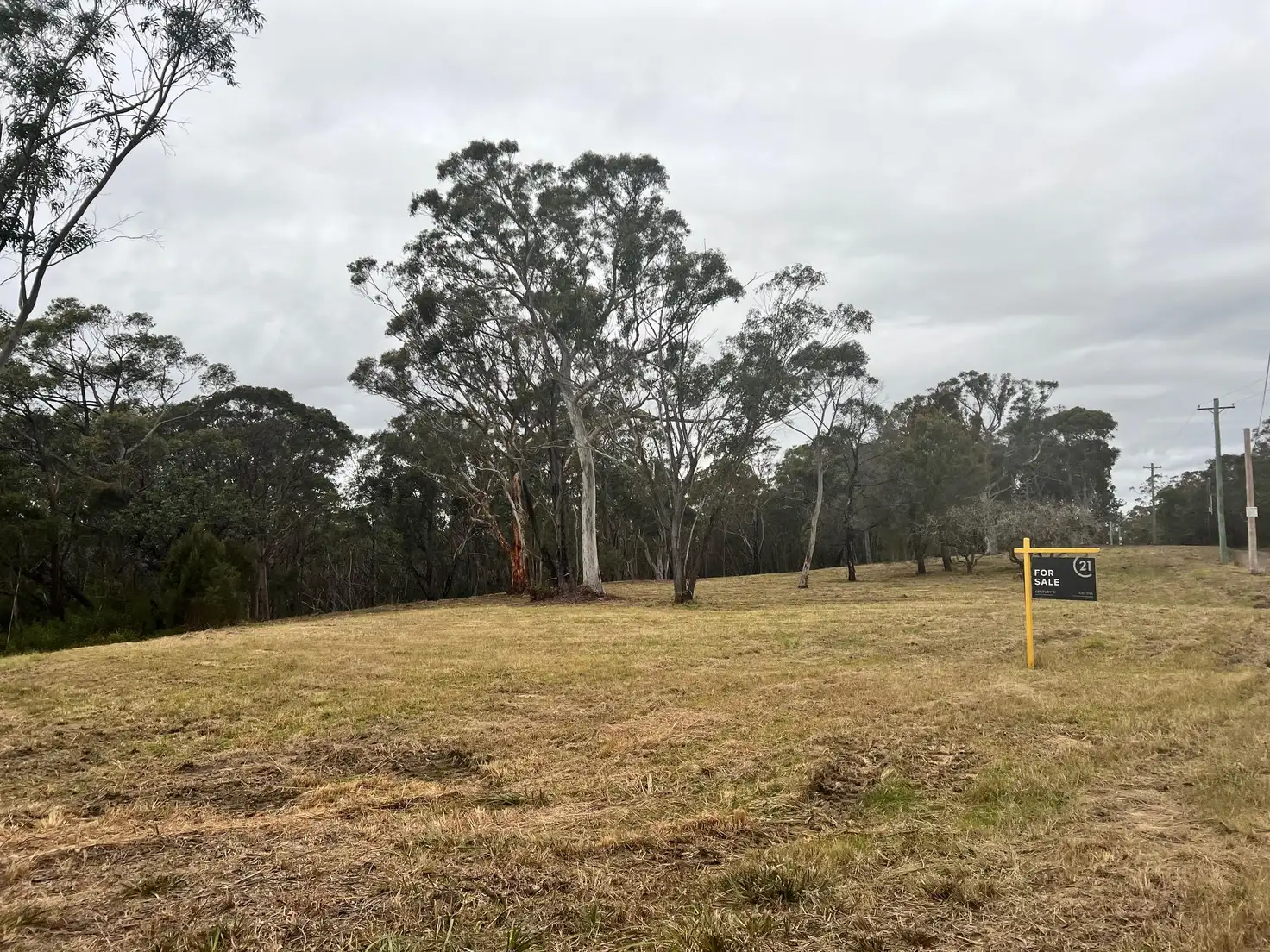 Main view of Homely land listing, 135-171 Park Road, Woodford NSW 2778