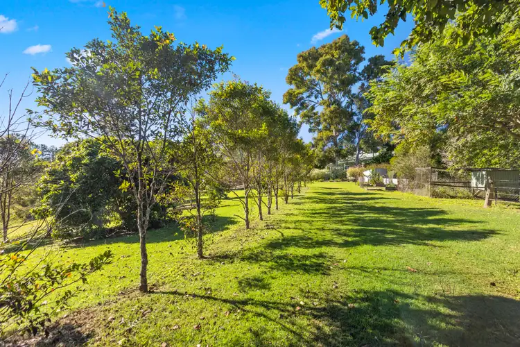 Third view of Homely rural property listing, 161 Cavanagh Road, Greens Creek QLD 4570