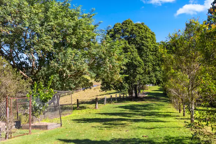 Seventh view of Homely rural property listing, 161 Cavanagh Road, Greens Creek QLD 4570