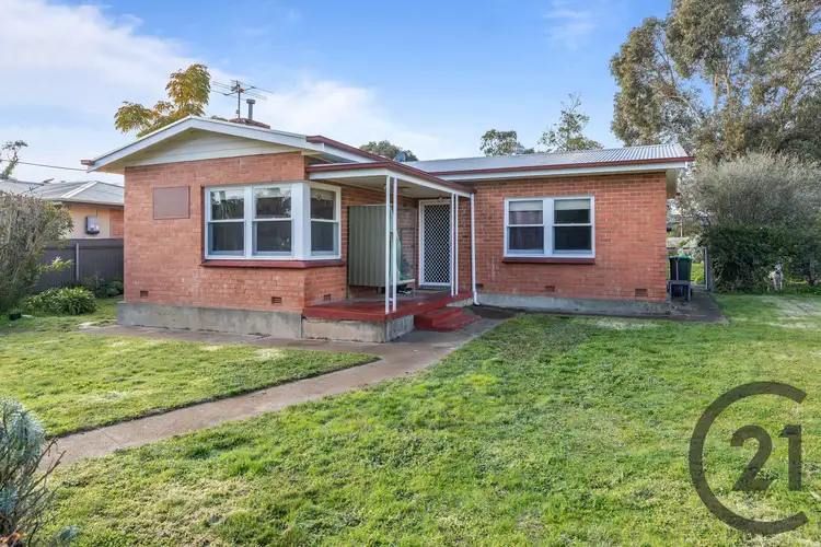 Main view of Homely house listing, 19 Clark Terrace, Angaston SA 5353