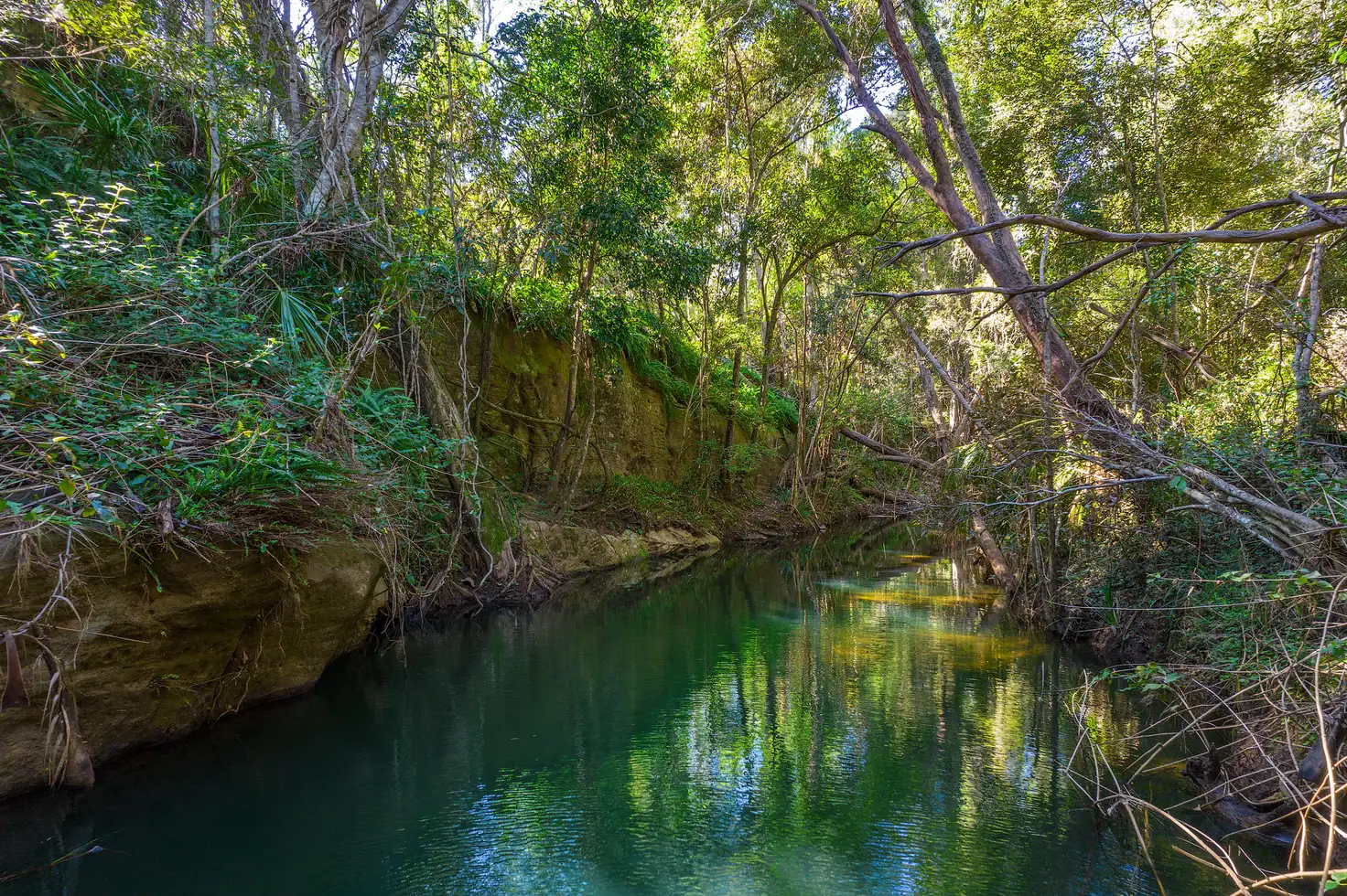 Main view of Homely rural property listing, 19 Ruby Road, The Palms QLD 4570