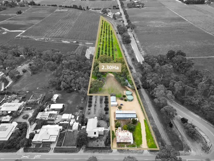 157 Bethany Road, Tanunda SA 5352