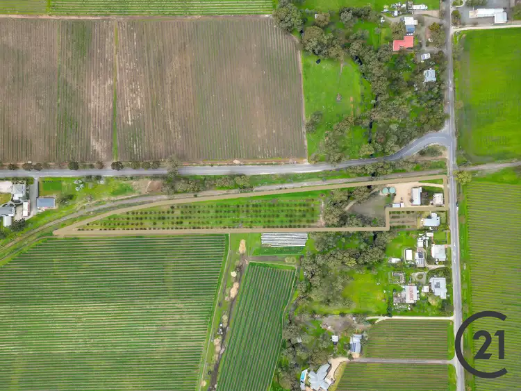 Second view of Homely house listing, 157 Bethany Road, Tanunda SA 5352