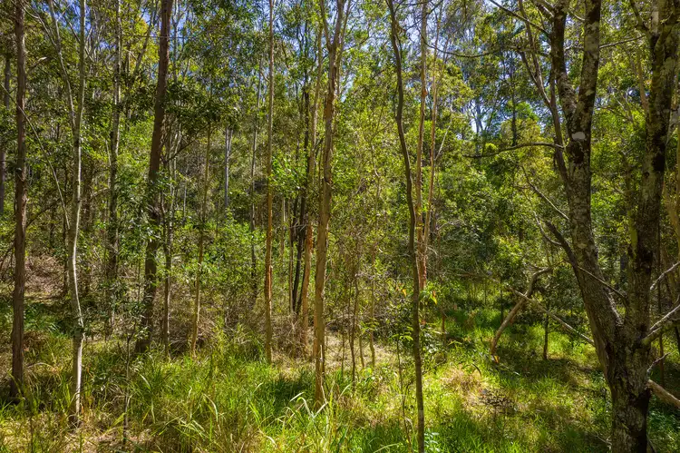 Main view of Homely land listing, 79 Counter Road, Wolvi QLD 4570