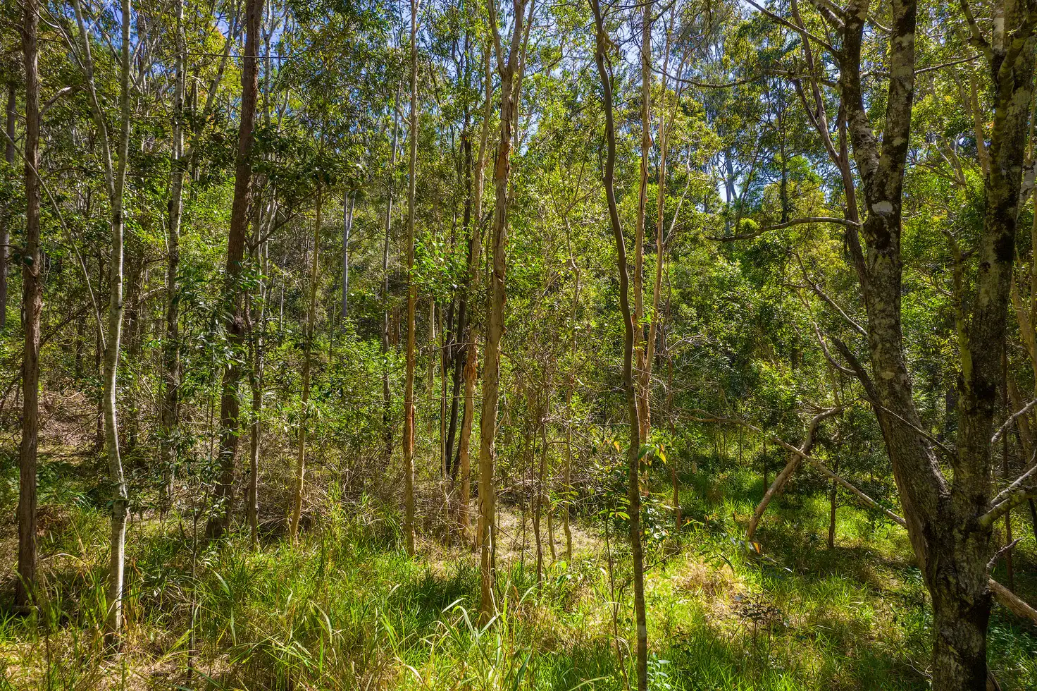 Main view of Homely land listing, 79 Counter Road, Wolvi QLD 4570