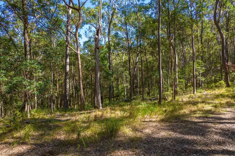 Fifth view of Homely land listing, 79 Counter Road, Wolvi QLD 4570