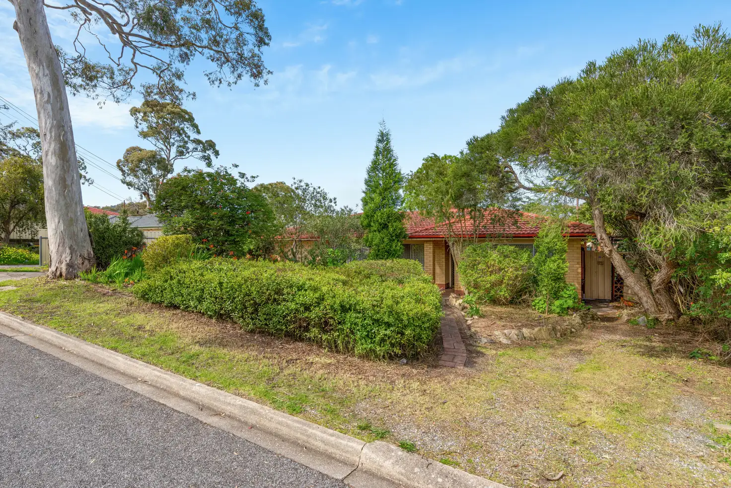 Main view of Homely house listing, 5 Caspar Street, Fairview Park SA 5126