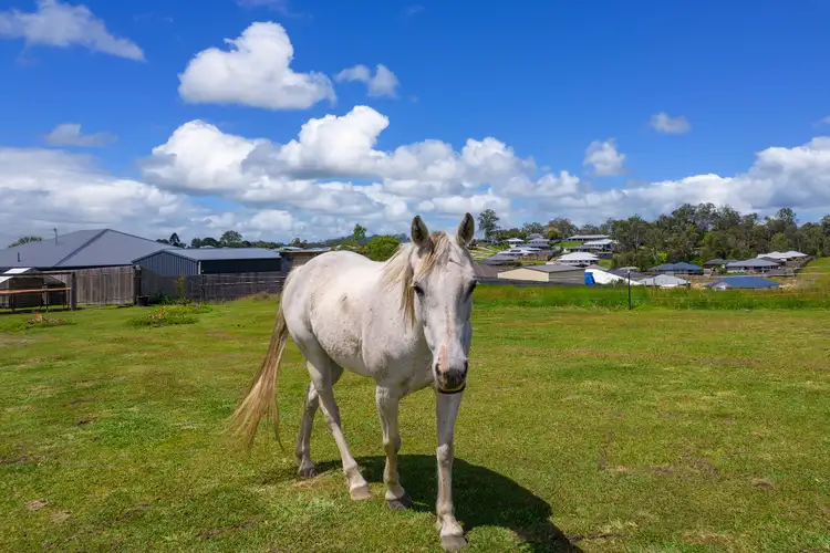 Fifth view of Homely house listing, 70 Judicial Circuit, Jones Hill QLD 4570