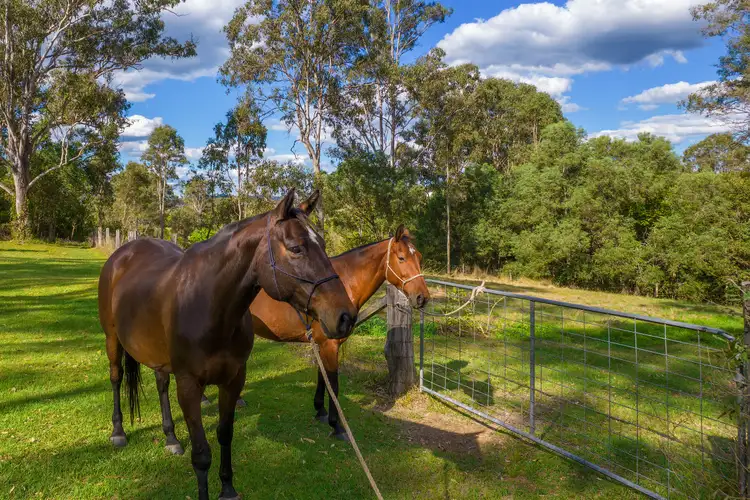 Fifth view of Homely rural property listing, 18 Carana Avenue, Jones Hill QLD 4570