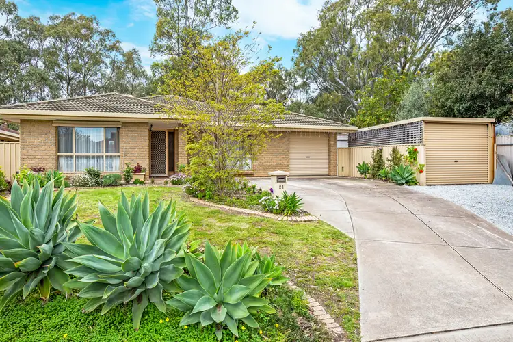 21 Begonia Street, Morphett Vale SA 5162