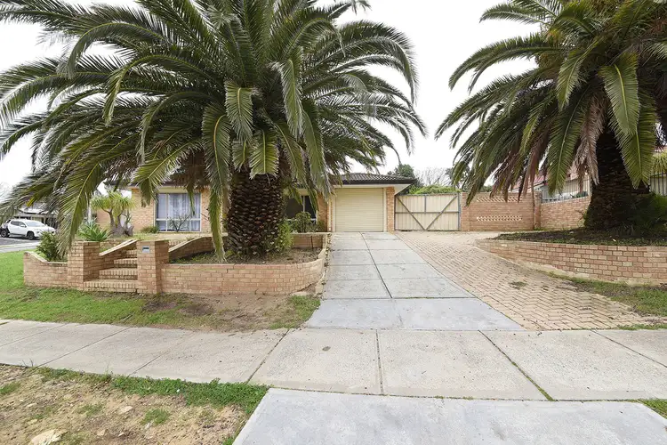 Main view of Homely house listing, 1 Frawley Ramble, Clarkson WA 6030