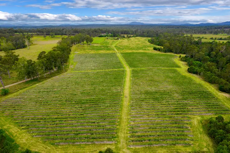 Fifth view of Homely rural property listing, 288 Blowers Road, Munna Creek QLD 4570