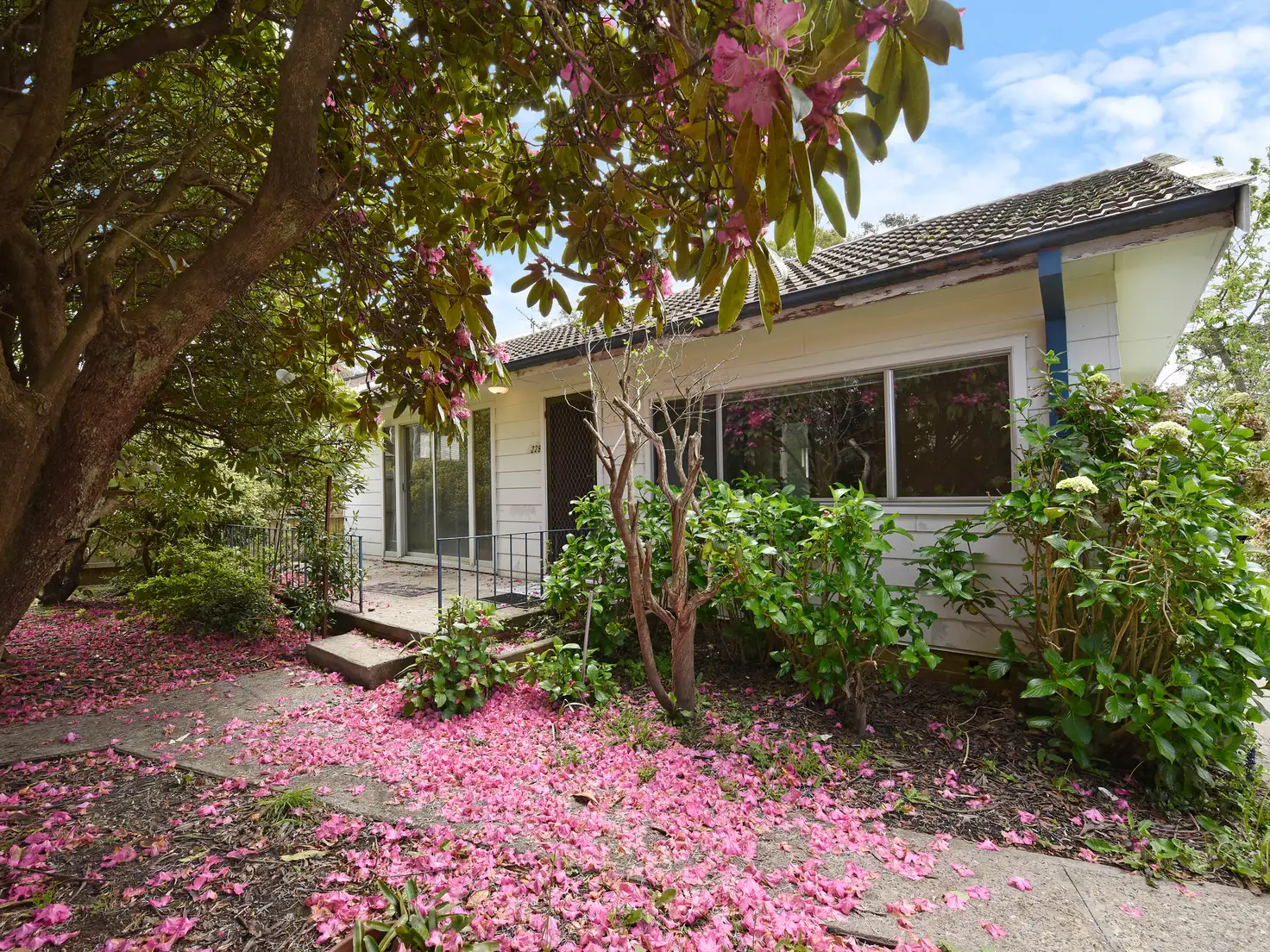 Main view of Homely house listing, 228 Govetts Leap Road, Blackheath NSW 2785