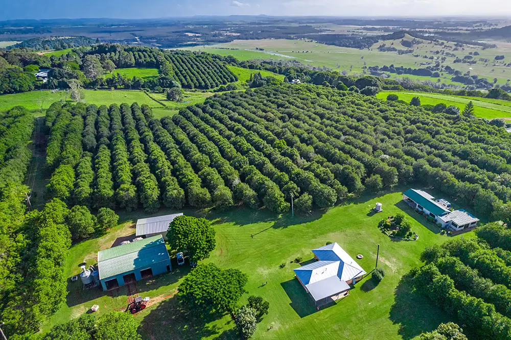 Main view of Homely rural property listing, 204 Cooks Lane, Dalwood NSW 2477