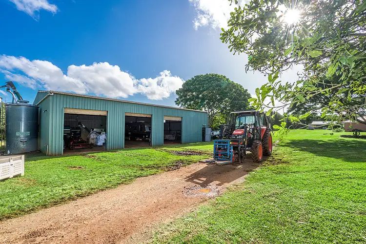 Fifth view of Homely rural property listing, 204 Cooks Lane, Dalwood NSW 2477