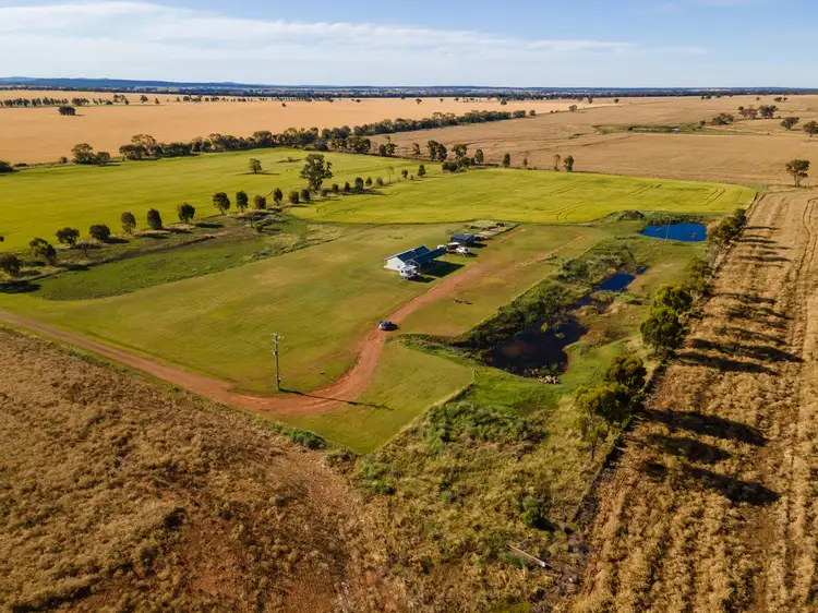 Main view of Homely rural property listing, 90 Wongalea Road, Gunningbland NSW 2876