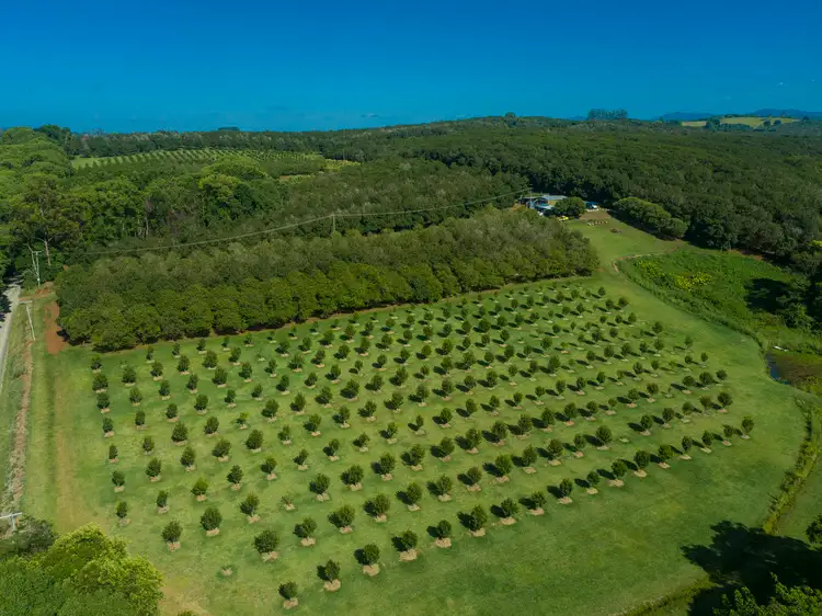 Second view of Homely rural property listing, Address available on request