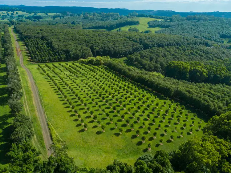 Fifth view of Homely rural property listing, Address available on request