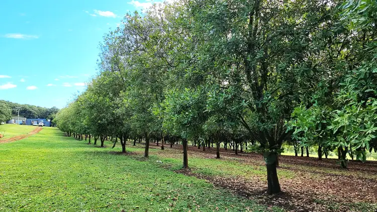 Seventh view of Homely rural property listing, Address available on request