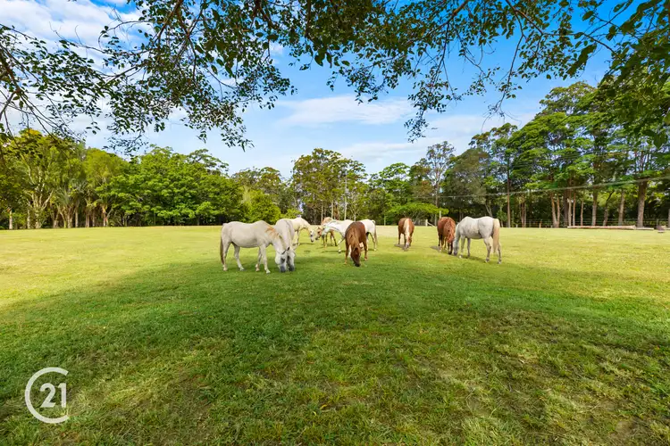 Fourth view of Homely land listing, Lot 8 and Lot 9/39 Tinbeerwah Road, Tinbeerwah QLD 4563
