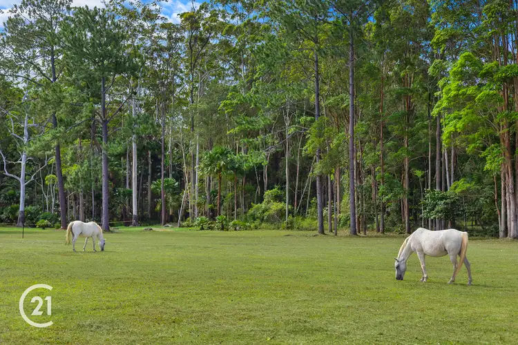 Seventh view of Homely land listing, Lot 8 and Lot 9/39 Tinbeerwah Road, Tinbeerwah QLD 4563