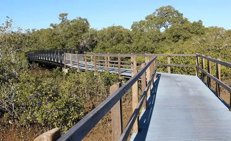 Seventh view of Homely house listing, 345 Whites Road, Lota QLD 4179