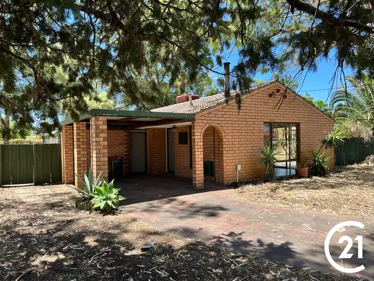 Main view of Homely house listing, 1 Leschenaultia Place, Pinjarra WA 6208