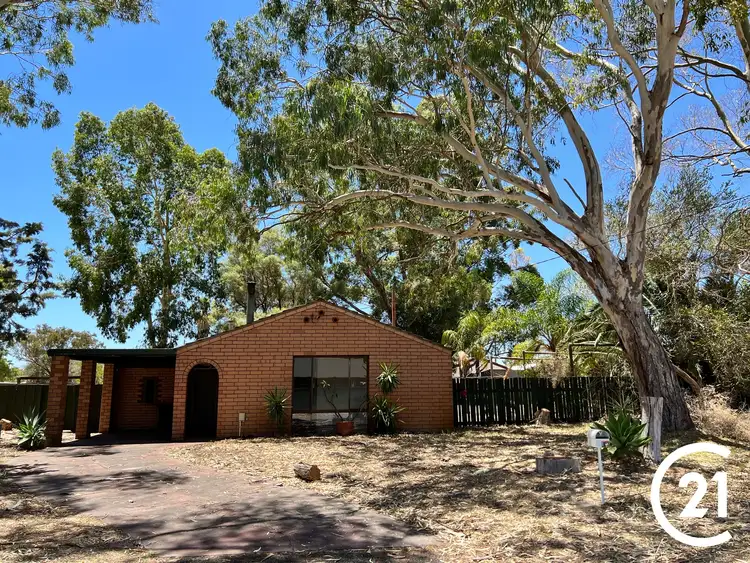 Third view of Homely house listing, 1 Leschenaultia Place, Pinjarra WA 6208